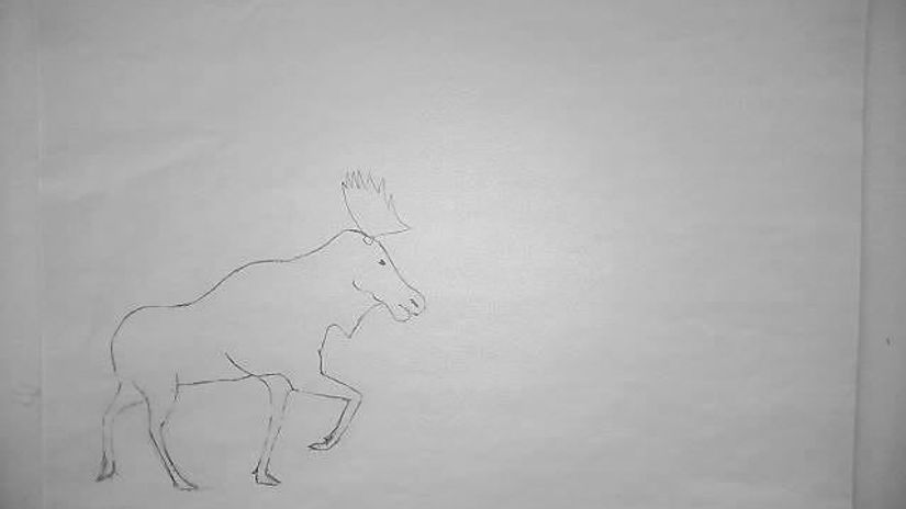 Moose Walk + Jump